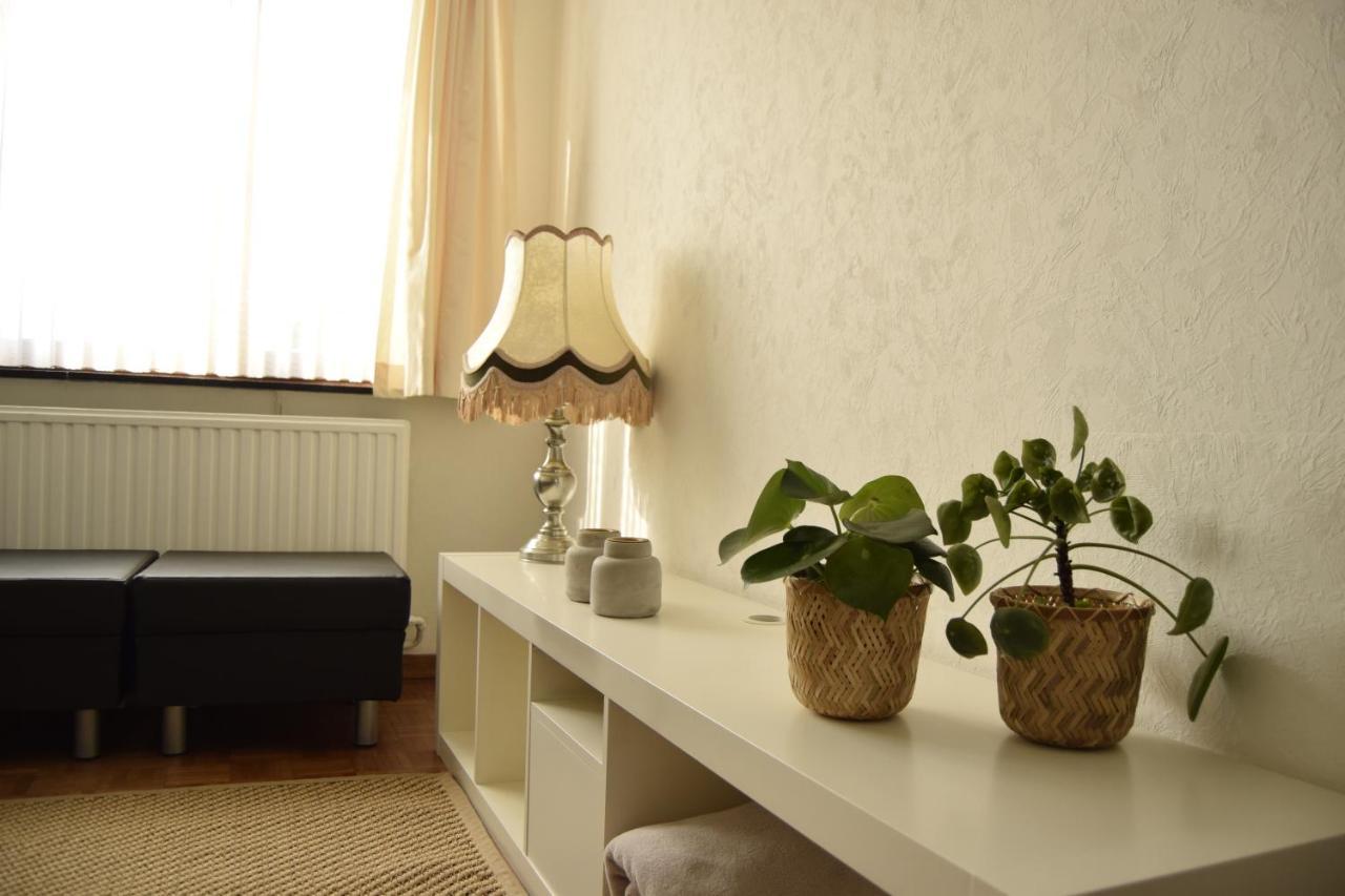 Vakantiewoning Wurfeldermolen ماسايك المظهر الخارجي الصورة