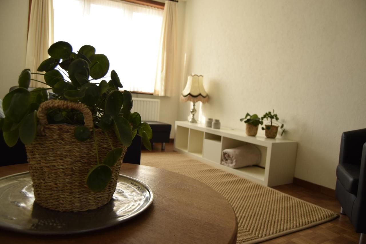 Vakantiewoning Wurfeldermolen ماسايك المظهر الخارجي الصورة